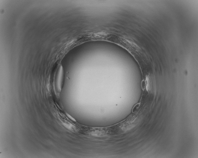 X0000062171395200512121228