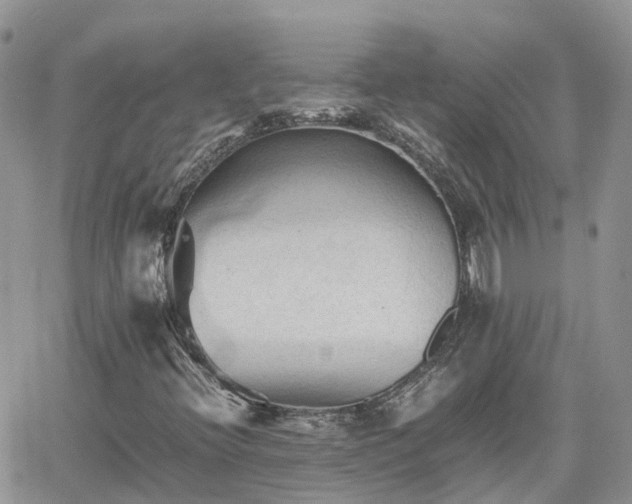 X0000062171396200512121228