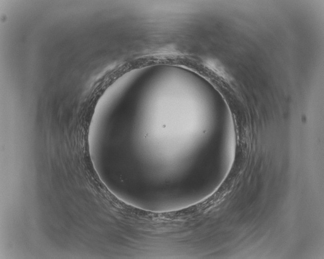 X0000062171398200512121228