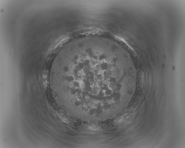 X0000062171399200512121228