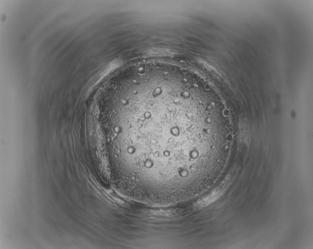 X0000062171401200512121228