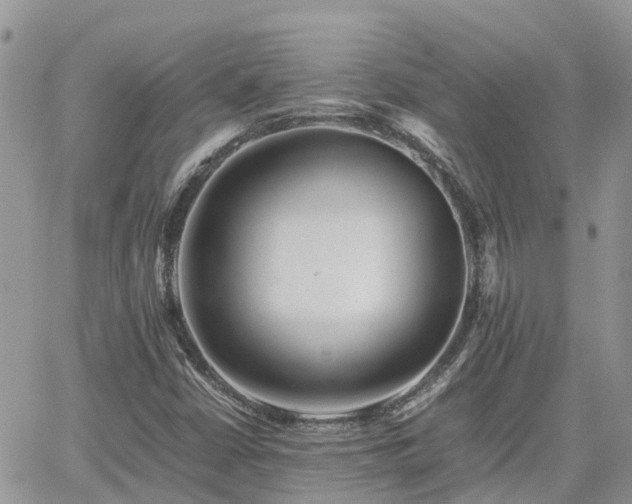 X0000062171402200512121228