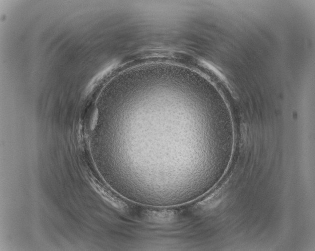 X0000062171403200512121228