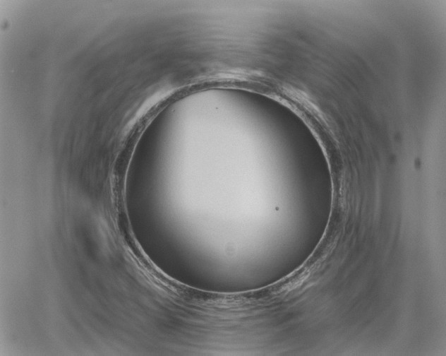 X0000062171404200512121228