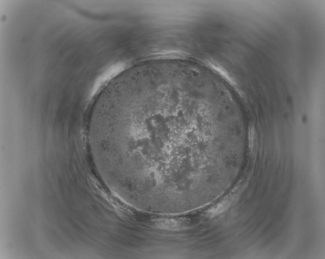 X0000062171405200512121228