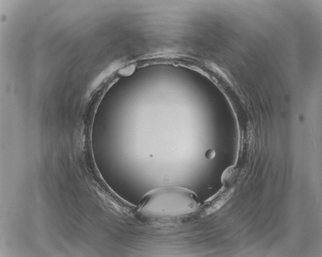 X0000062171406200512121229