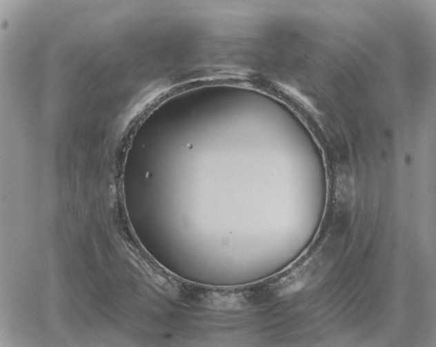 X0000062171407200512121229