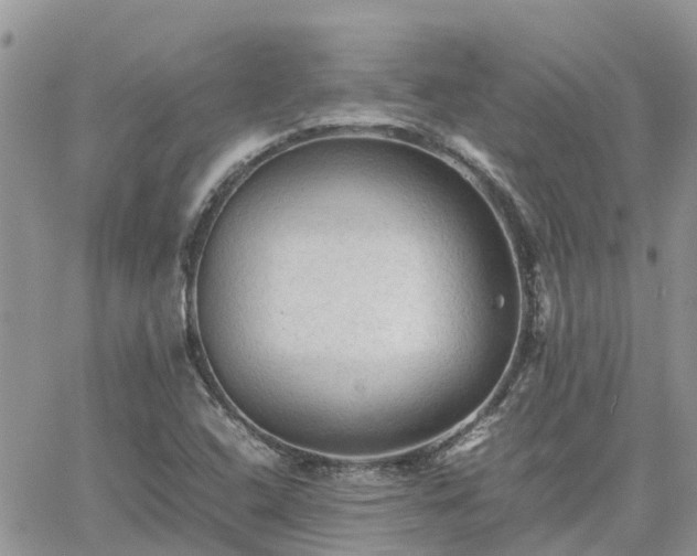 X0000062171408200512121229