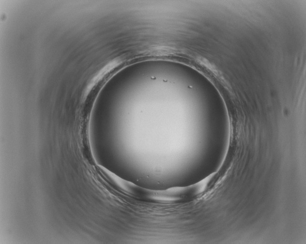 X0000062171410200512121229