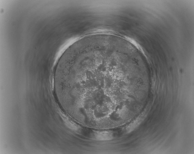 X0000062171413200512121229