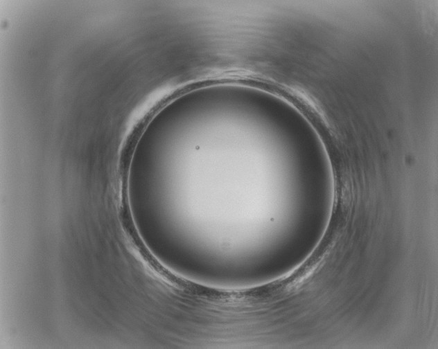 X0000062171414200512121229