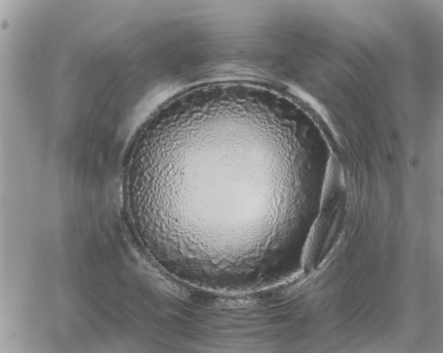 X0000062171415200512121229