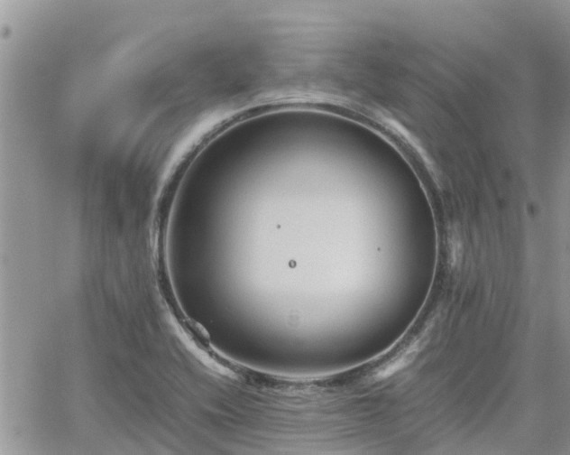 X0000062171416200512121229