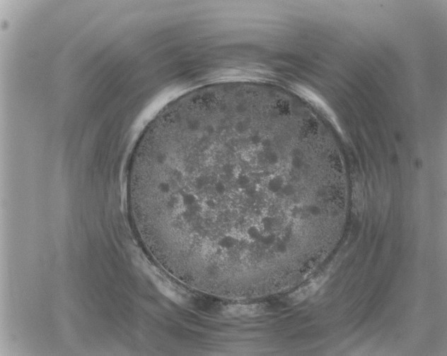 X0000062171419200512121229