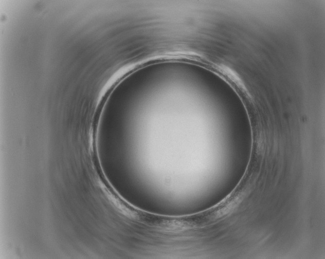 X0000062171420200512121229