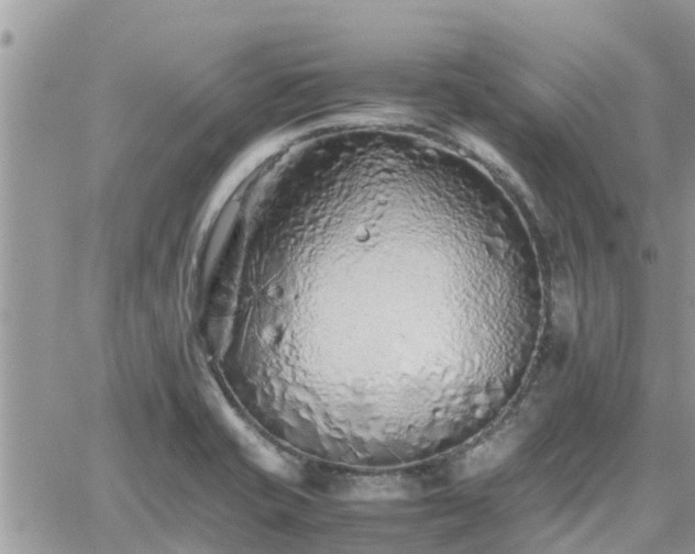 X0000062171421200512121229