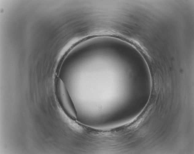 X0000062171422200512121229