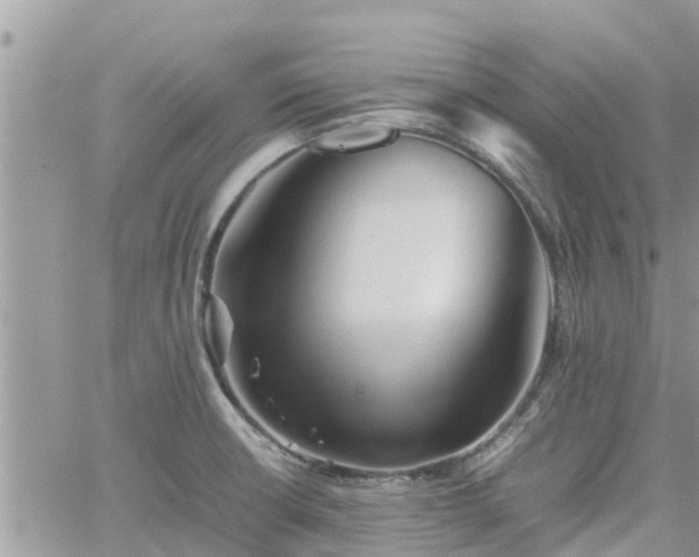 X0000062171426200512121229