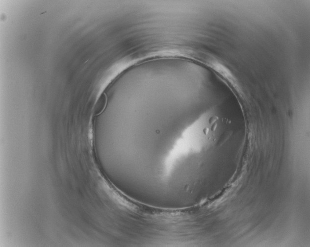 X0000062171428200512121229