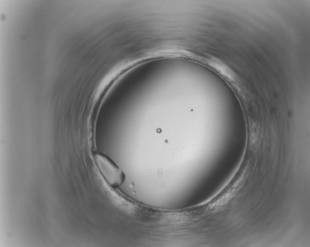 X0000062171430200512121229