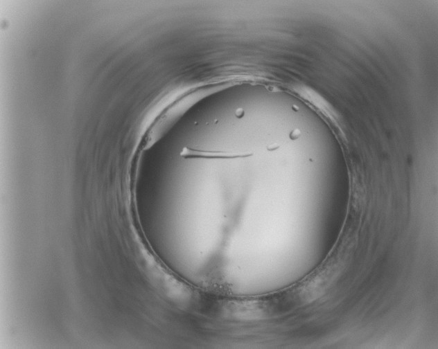 X0000062171431200512121229