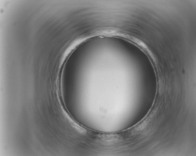 X0000062171432200512121229