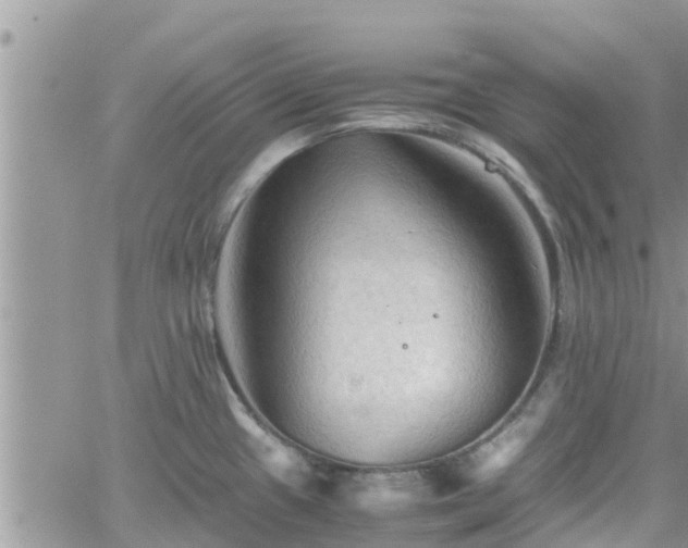 X0000062171433200512121229