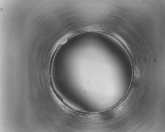 X0000062171434200512121229