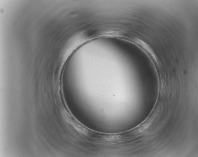 X0000062171435200512121229