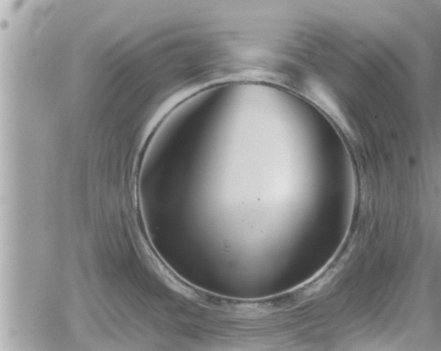 X0000062171436200512121229