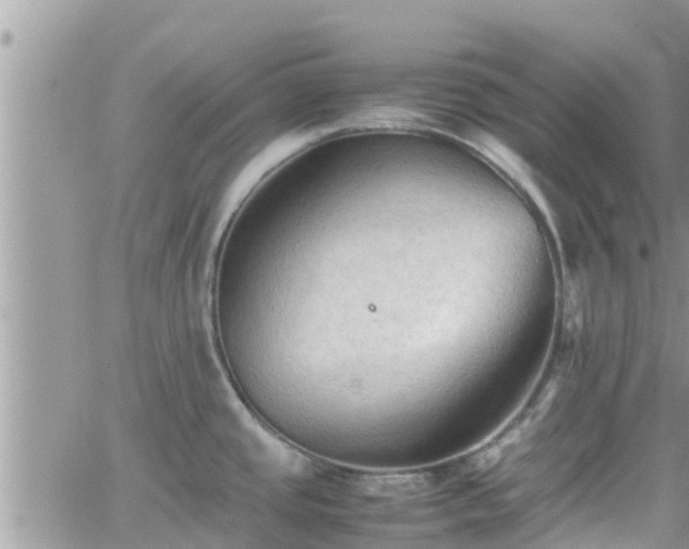 X0000062171437200512121229