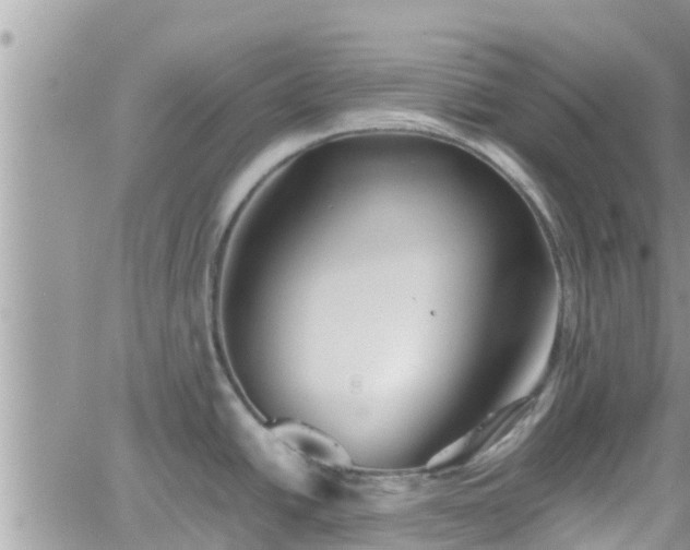 X0000062171438200512121229