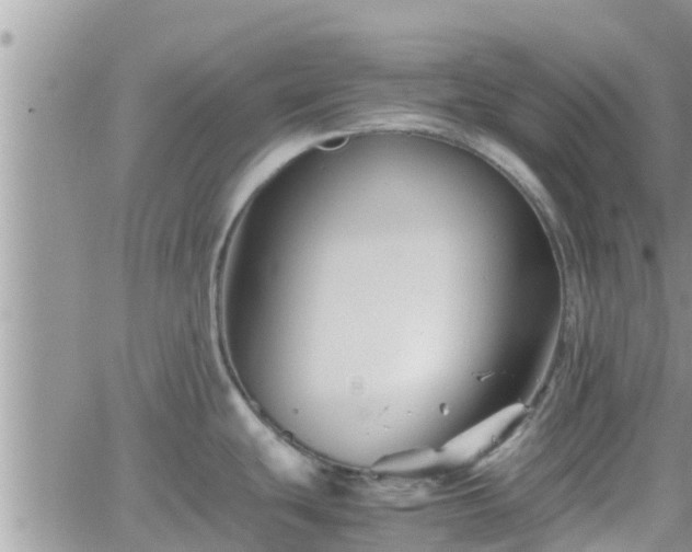 X0000062171439200512121229