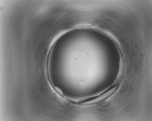 X0000062171440200512121229