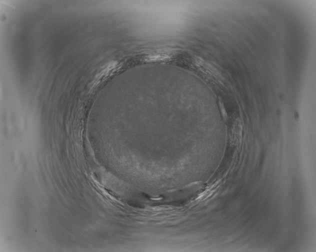 X0000062171441200512121228