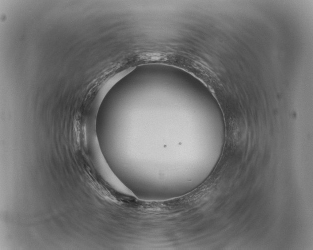 X0000062171442200512121228