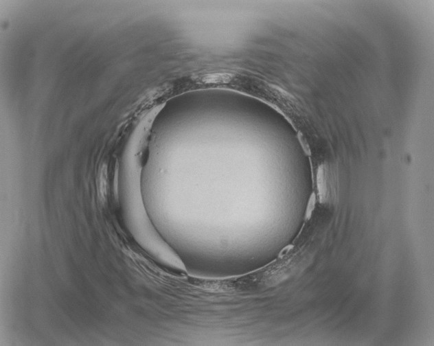 X0000062171443200512121228