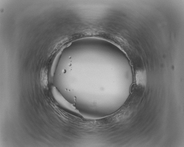 X0000062171444200512121228