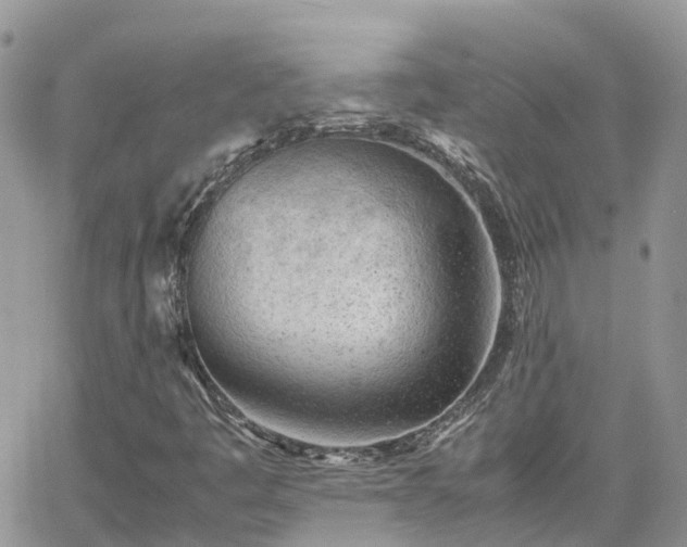 X0000062171445200512121228