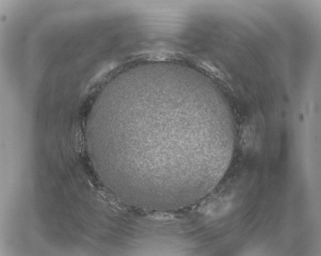 X0000062171446200512121228