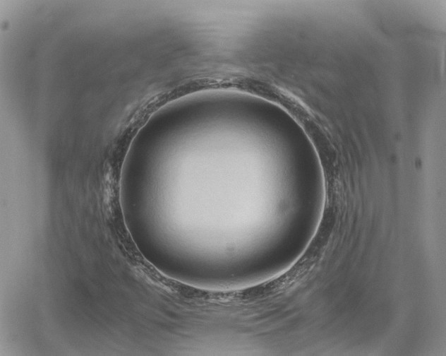 X0000062171447200512121228