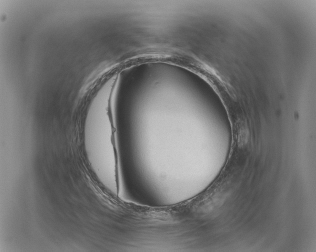 X0000062171448200512121228