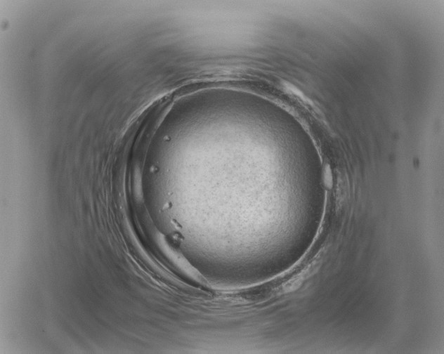 X0000062171449200512121228