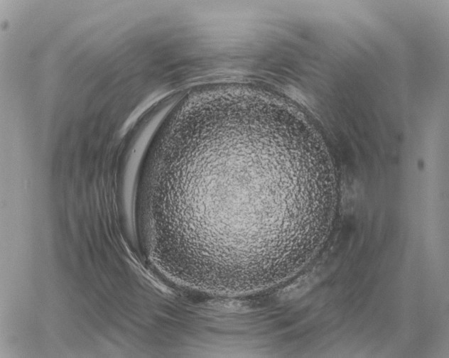 X0000062171450200512121228