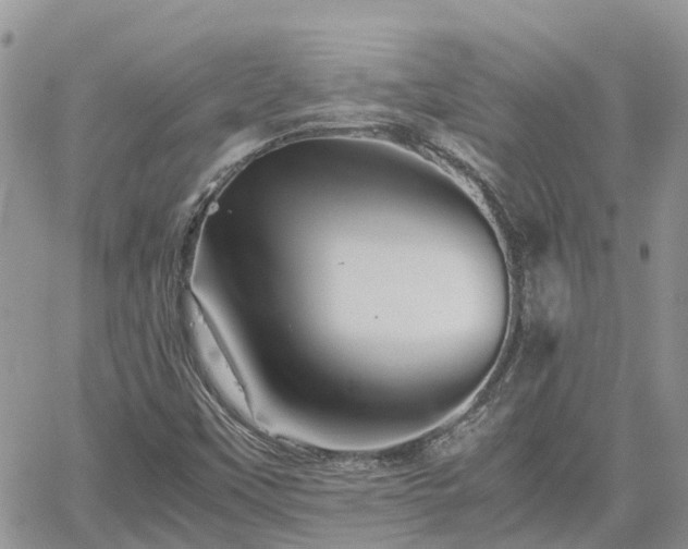 X0000062171451200512121228