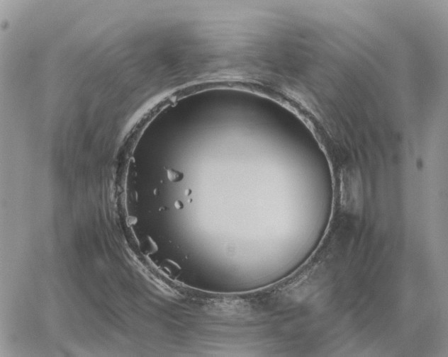 X0000062171452200512121228