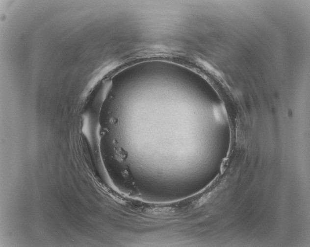 X0000062171453200512121228