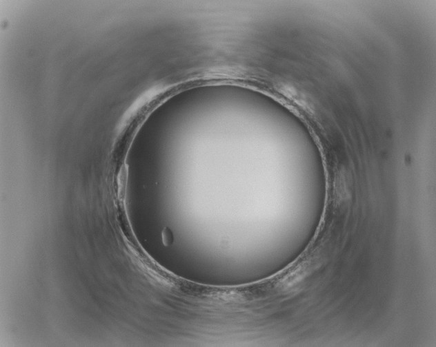 X0000062171454200512121228