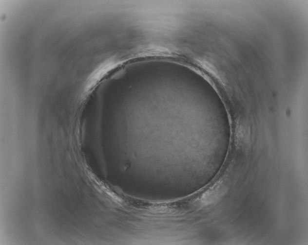 X0000062171455200512121228