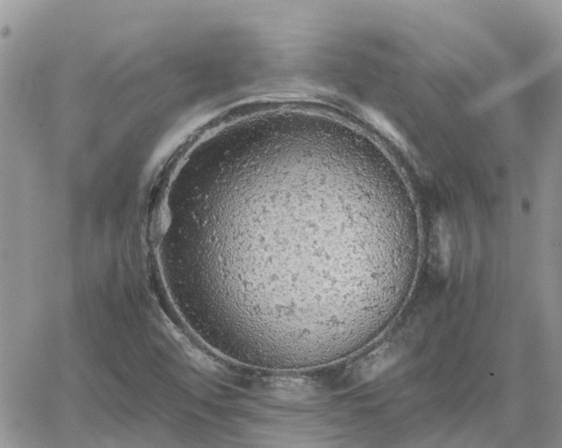 X0000062171456200512121228